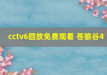 cctv6回放免费观看 苍狼谷4